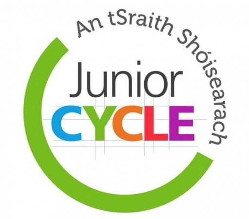 Junior cycle assessment and report 2020